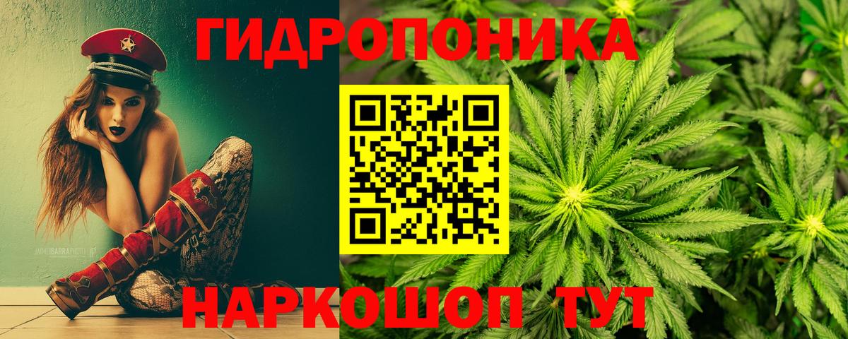 Каннабис Ganja  Вход с VPN  Вольск  Канабис конопля  Конопля тримм  Бошки марихуана Amnesia 